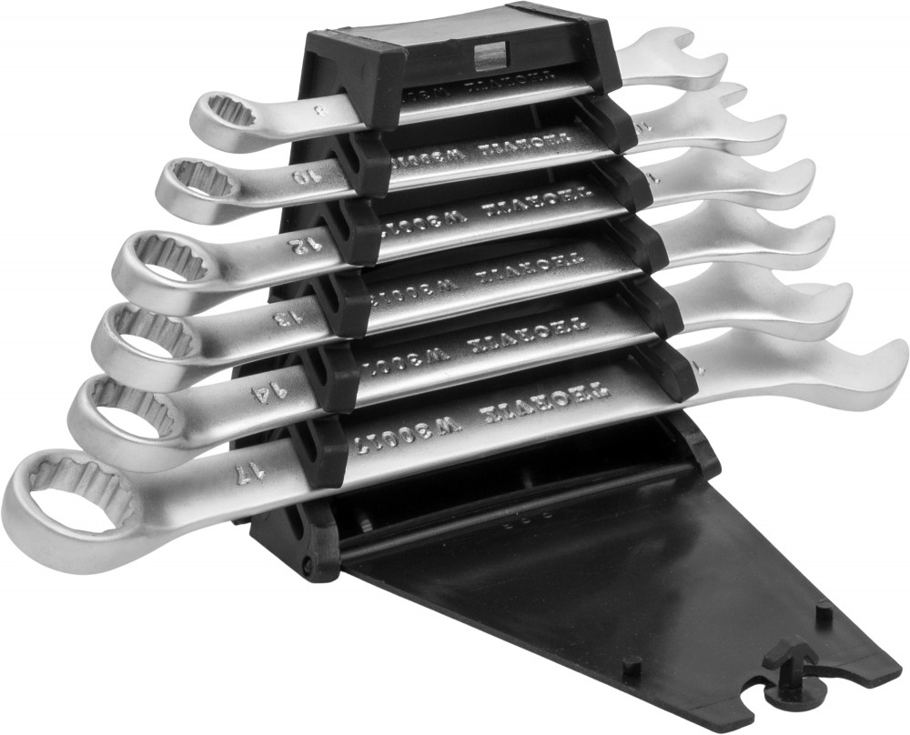 Thorvik W3S6PR Набор ключей гаечных комбинированных серии ARC на держателе, 8-17 мм, 6 предметов W3S6PR