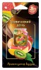 Прочие автотовары J-10 Ароматизатор мембранный подвесной серии "Jam Perfume" Тропический день J-10